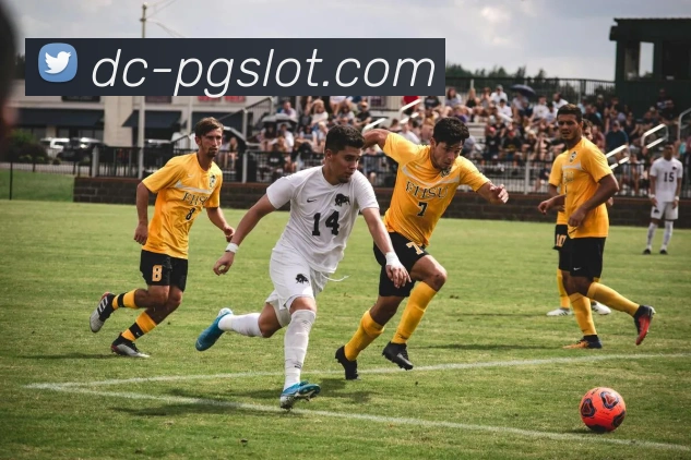 麻将胡了PG官网APP 高清赛事图